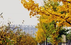 四川哪些大学有医学检验专业课程