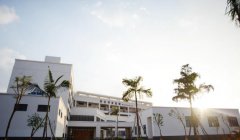 红河卫生职业学院2019招生录取分数线