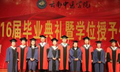 云南中医学院2019招生录取分数线
