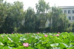 四川凉山卫生学校好不好？