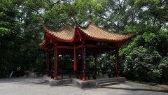 泸州医学院好不好？