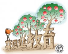 初中没考上高中怎么办？初中毕业学啥技术好？