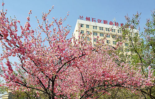 兰州石化职业技术学院