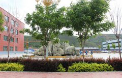 甘肃装备制造业技师学院2021年招生简章