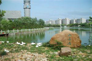 重庆市茂森中等职业学校