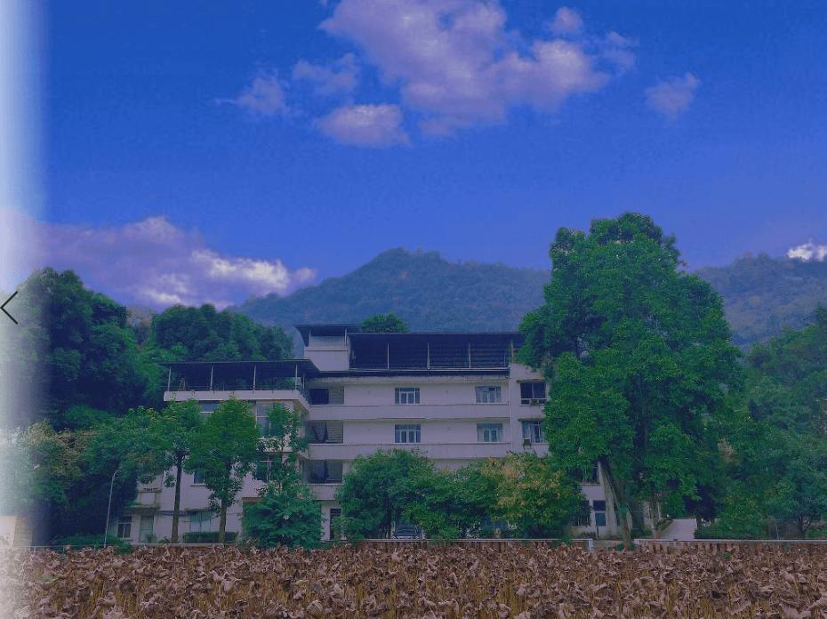 重庆人文艺术职业学校