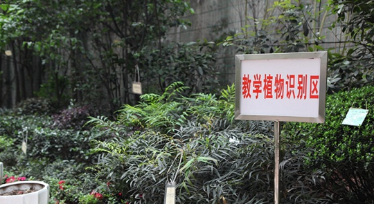 重庆光华女子职业中等专业学校