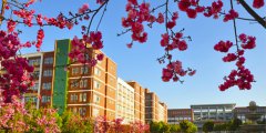 2019年云南经济管理学院单独招生章程