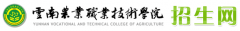云南农业职业技术学院2019高职单招成绩查询时间及入口