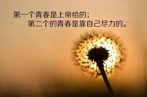 重庆理工大学医学院怎么样？