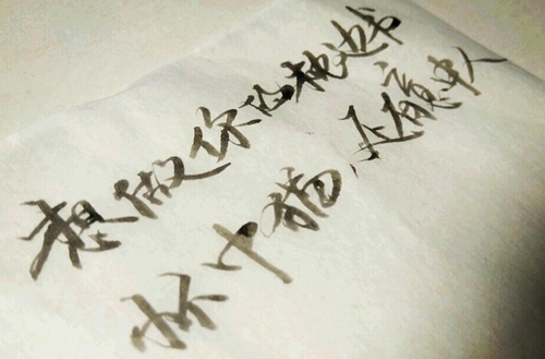 河北工艺美术职业学院自考2019年招生计划